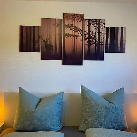 Am Grundbaechle Schonach Апартаменты