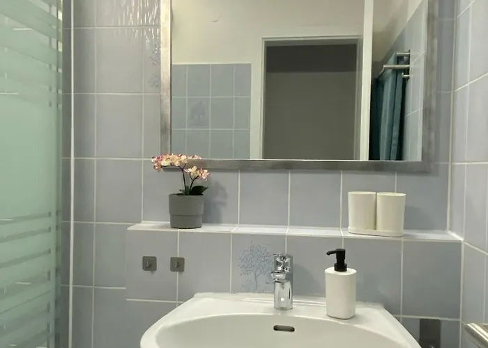 Am Grundbaechle Schonach * סכונאץ'